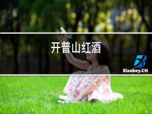 开普山红酒