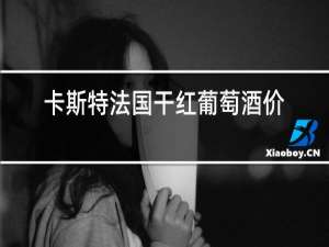 卡斯特法国干红葡萄酒价格