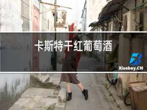 卡斯特干红葡萄酒