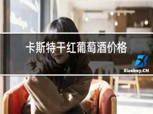 卡斯特干红葡萄酒价格