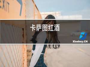 卡斯特红酒