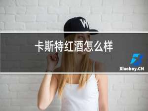 卡斯特红酒怎么样