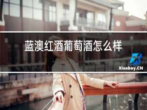 蓝澳红酒葡萄酒怎么样