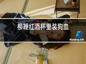 柳鞭红酒杯里装狗血