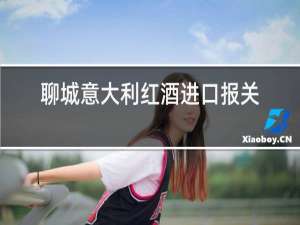 聊城意大利红酒进口报关代理
