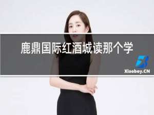 鹿鼎国际红酒城读那个学校