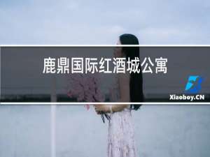 鹿鼎国际红酒城公寓