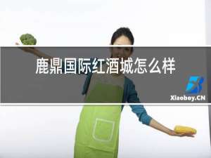鹿鼎国际红酒城怎么样