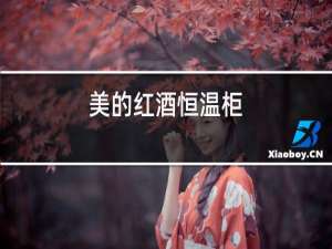 美的红酒恒温柜
