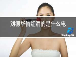 刘德华偷红酒的是什么电影