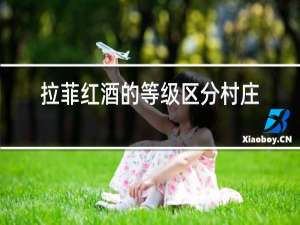 拉菲红酒的等级区分村庄级