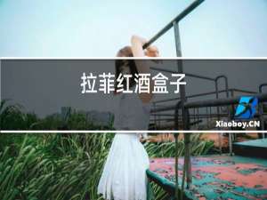 拉菲红酒盒子