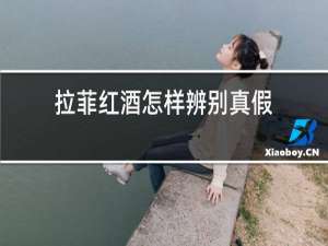 拉菲红酒怎样辨别真假