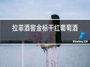拉菲酒窖金标干红葡萄酒2016多少钱