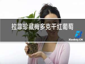 拉菲珍藏梅多克干红葡萄酒