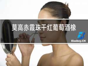 莫高赤霞珠干红葡萄酒橡木桶陈酿2008