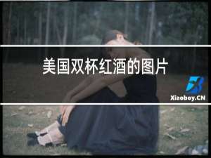 美国双杯红酒的图片