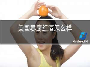美国赛鹰红酒怎么样