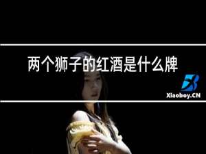两个狮子的红酒是什么牌子