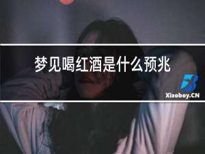 梦见喝红酒是什么预兆