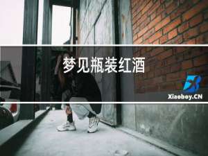 梦见瓶装红酒