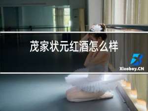 茂家状元红酒怎么样