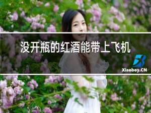 没开瓶的红酒能带上飞机吗