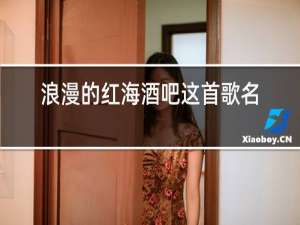 浪漫的红海酒吧这首歌名字叫什么