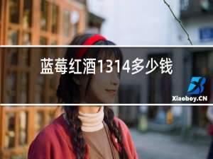 蓝莓红酒1314多少钱一瓶