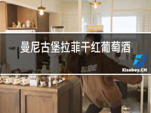 曼尼古堡拉菲干红葡萄酒