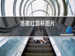 洛娜红酒杯图片