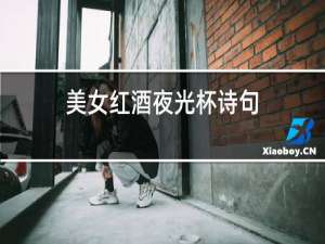 美女红酒夜光杯诗句