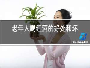 老年人喝红酒的好处和坏处