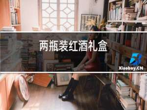 两瓶装红酒礼盒