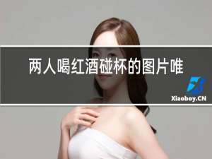 两人喝红酒碰杯的图片唯美