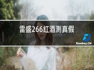 雷盛266红酒测真假