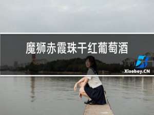 魔狮赤霞珠干红葡萄酒