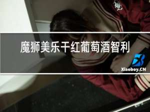 魔狮美乐干红葡萄酒智利中央山谷