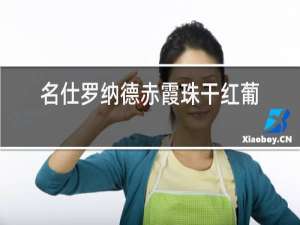 名仕罗纳德赤霞珠干红葡萄酒法国原装进口