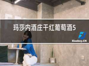 玛莎内酒庄干红葡萄酒5L