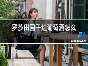 罗莎田园干红葡萄酒怎么样