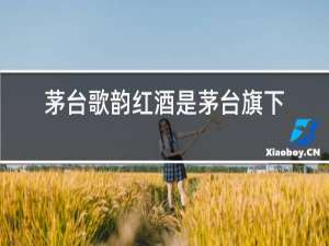 茅台歌韵红酒是茅台旗下的吗