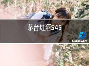 茅台红酒S45