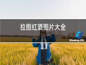 拉图红酒图片大全