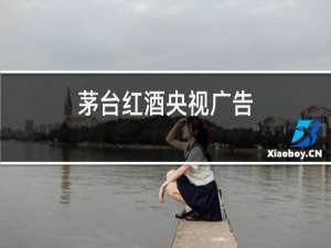 茅台红酒央视广告
