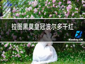 拉图黑莫皇冠波尔多干红酒价格