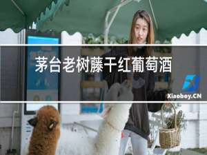 茅台老树藤干红葡萄酒