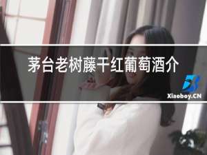 茅台老树藤干红葡萄酒介绍