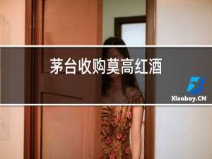茅台收购莫高红酒