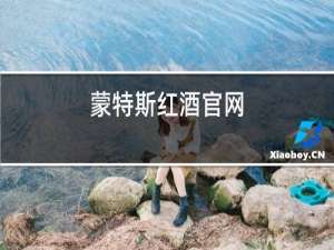 蒙特斯红酒官网